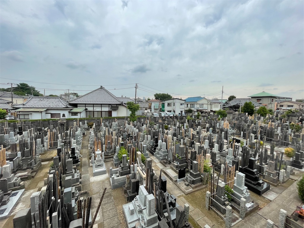 f:id:TokuheiKumagai:20250609160149j:image