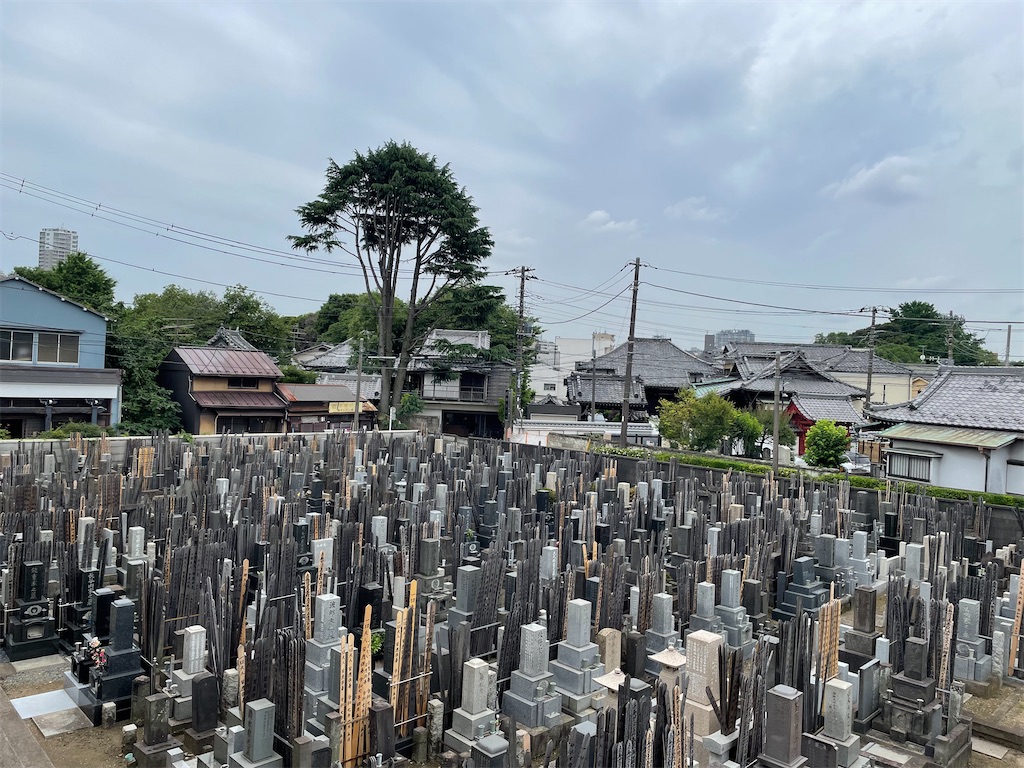 f:id:TokuheiKumagai:20250609160153j:image