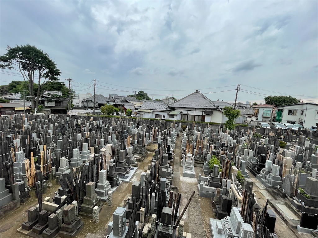 f:id:TokuheiKumagai:20250609160200j:image