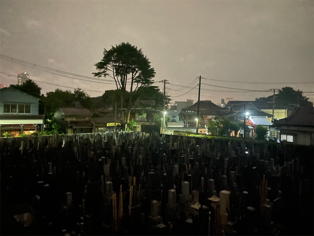 f:id:TokuheiKumagai:20250610232112j:image