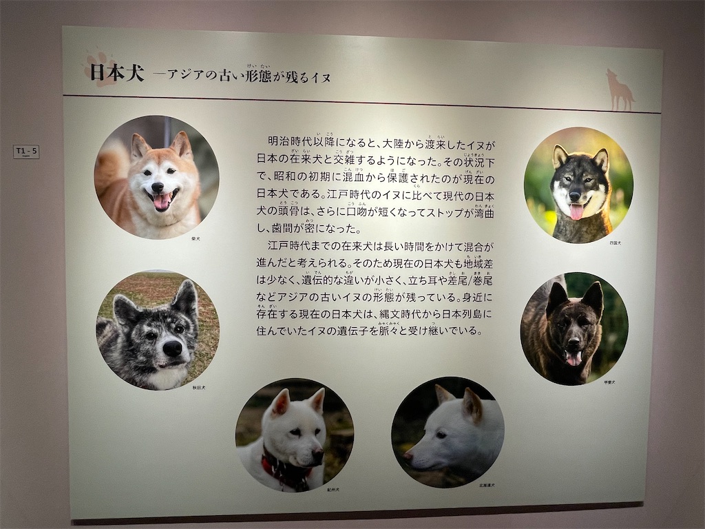f:id:TokuheiKumagai:20250610232419j:image