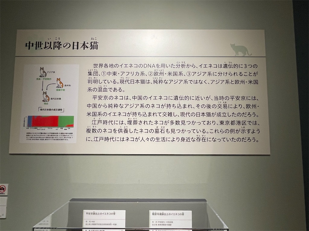 f:id:TokuheiKumagai:20250610232423j:image