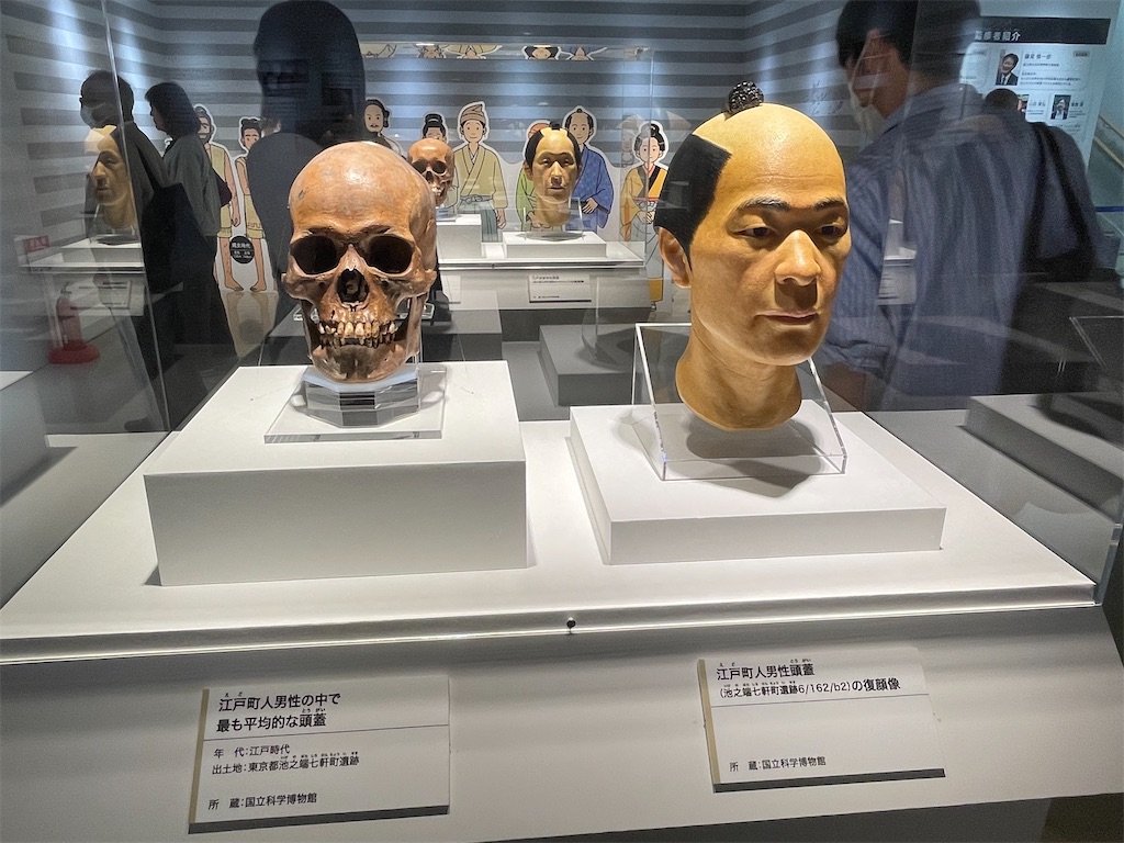 f:id:TokuheiKumagai:20250610232429j:image
