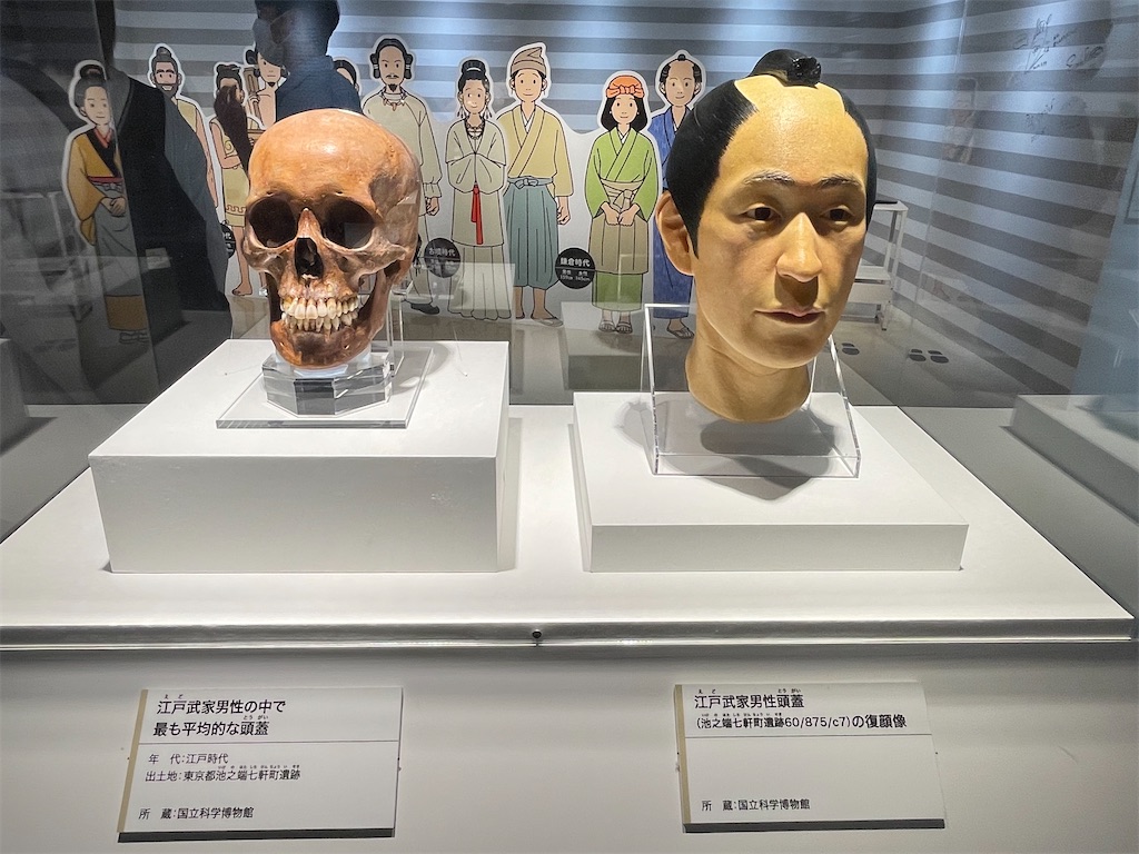 f:id:TokuheiKumagai:20250610232448j:image