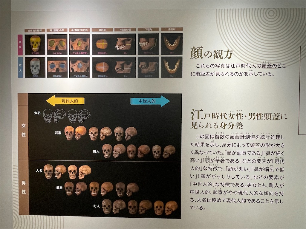 f:id:TokuheiKumagai:20250610232458j:image