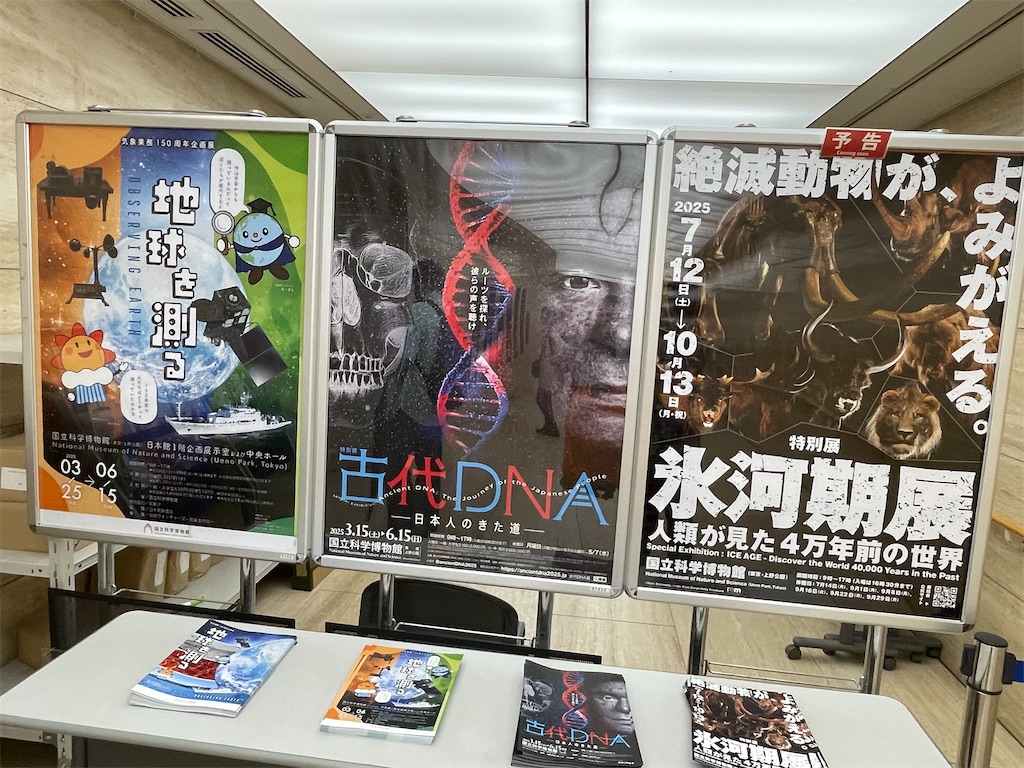 f:id:TokuheiKumagai:20250610232502j:image