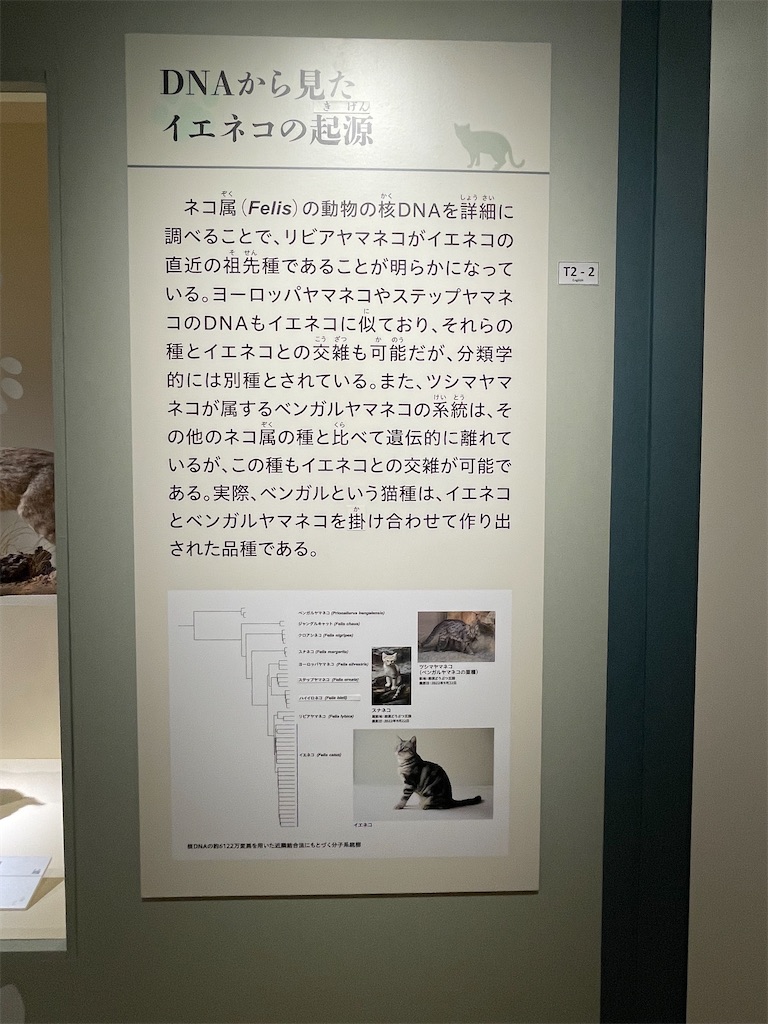 f:id:TokuheiKumagai:20250610232522j:image