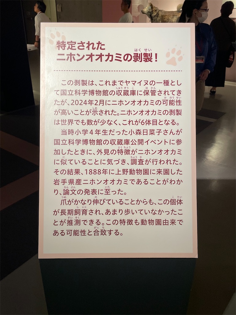 f:id:TokuheiKumagai:20250610232528j:image