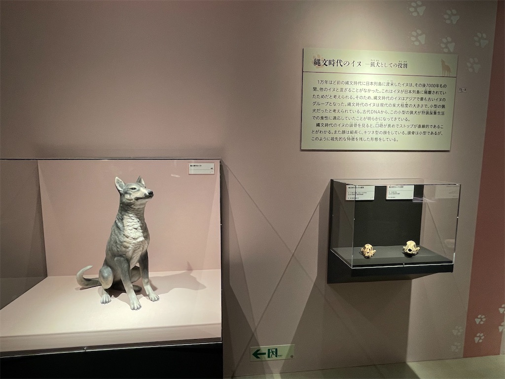 f:id:TokuheiKumagai:20250610232538j:image