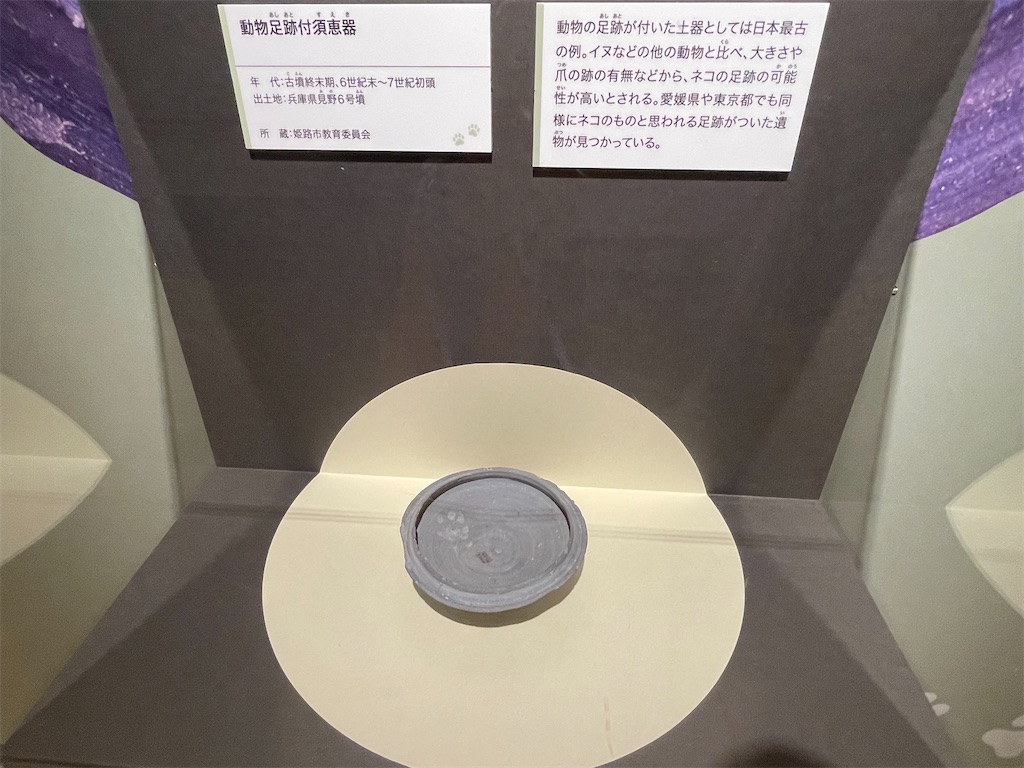 f:id:TokuheiKumagai:20250610232541j:image