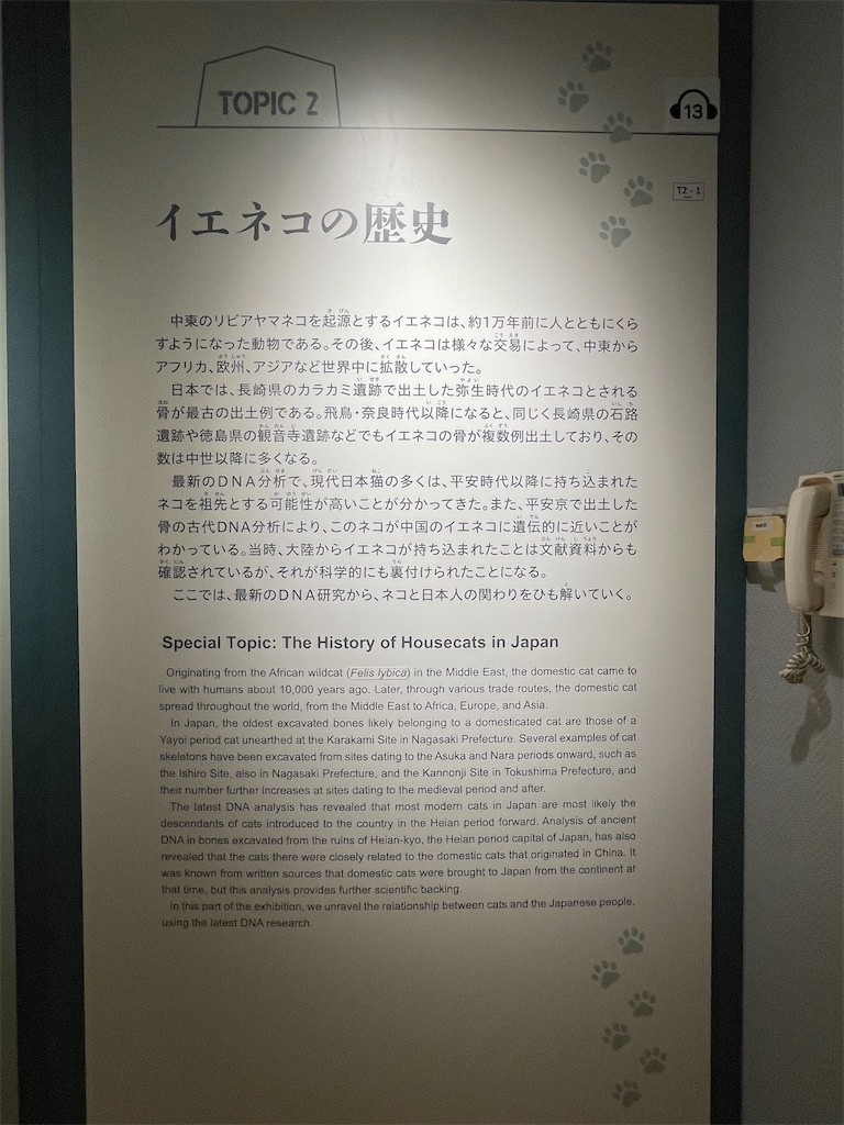 f:id:TokuheiKumagai:20250610232545j:image