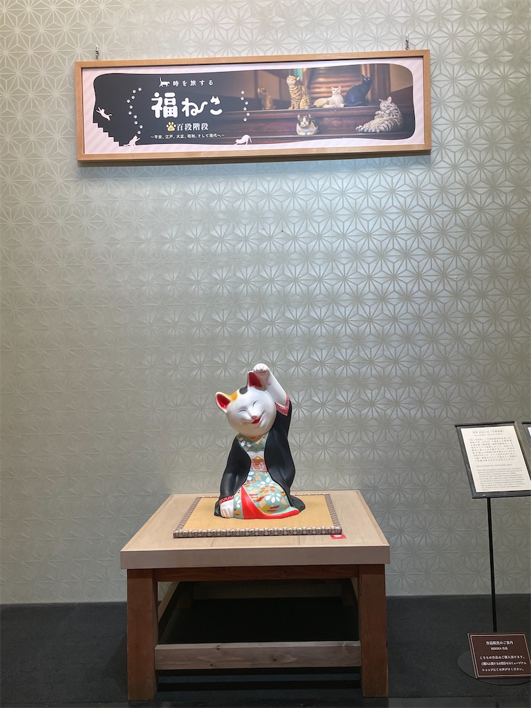 f:id:TokuheiKumagai:20250610232825j:image