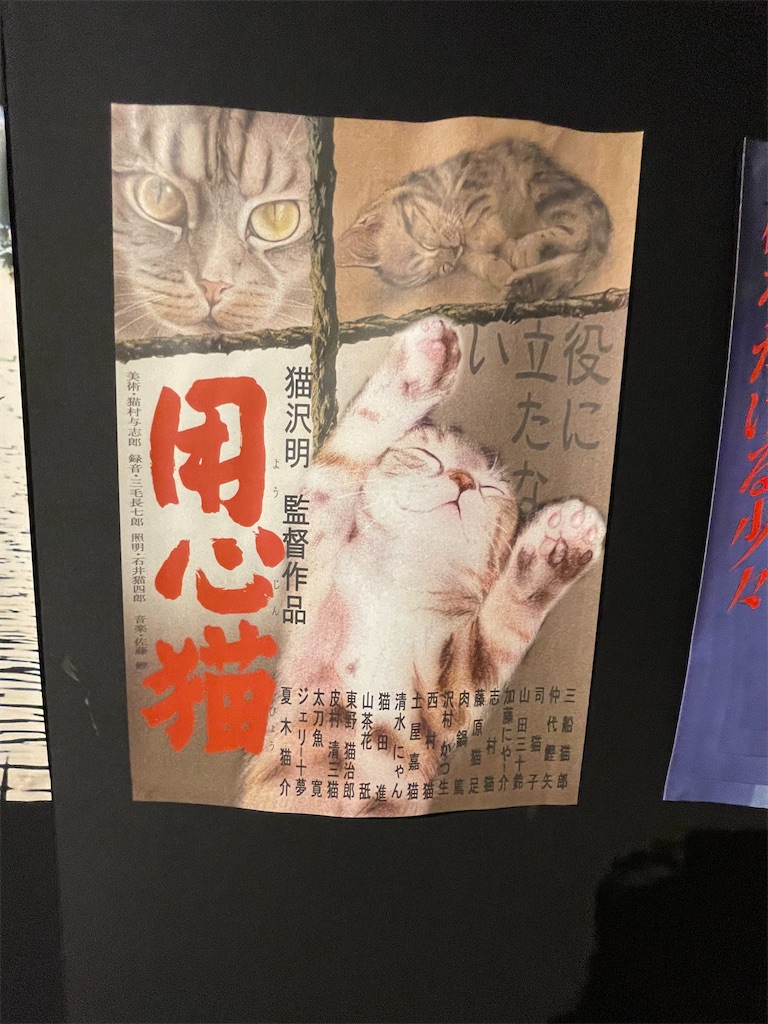 f:id:TokuheiKumagai:20250610232831j:image