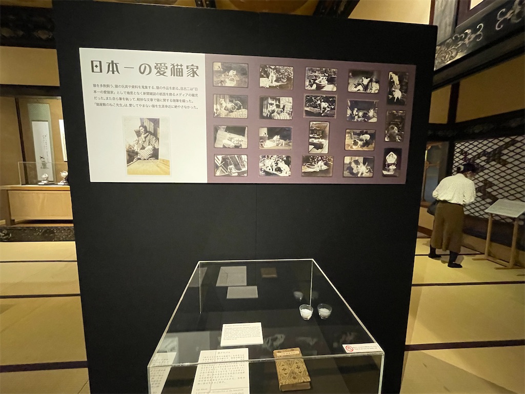 f:id:TokuheiKumagai:20250610232907j:image