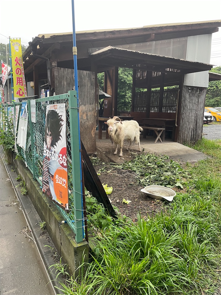 f:id:TokuheiKumagai:20250610232916j:image