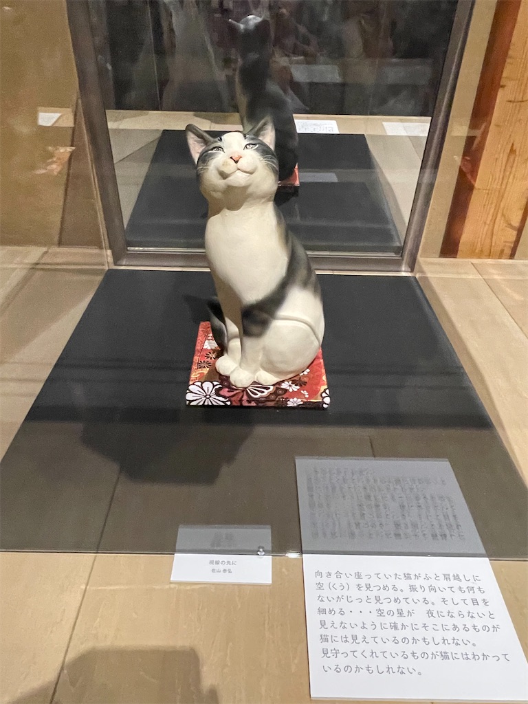 f:id:TokuheiKumagai:20250610233015j:image