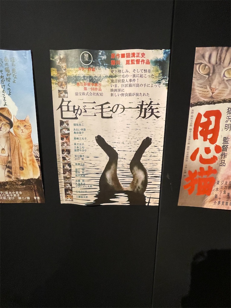 f:id:TokuheiKumagai:20250610233022j:image