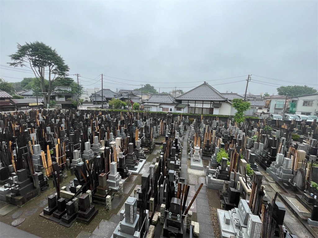 f:id:TokuheiKumagai:20250611145227j:image
