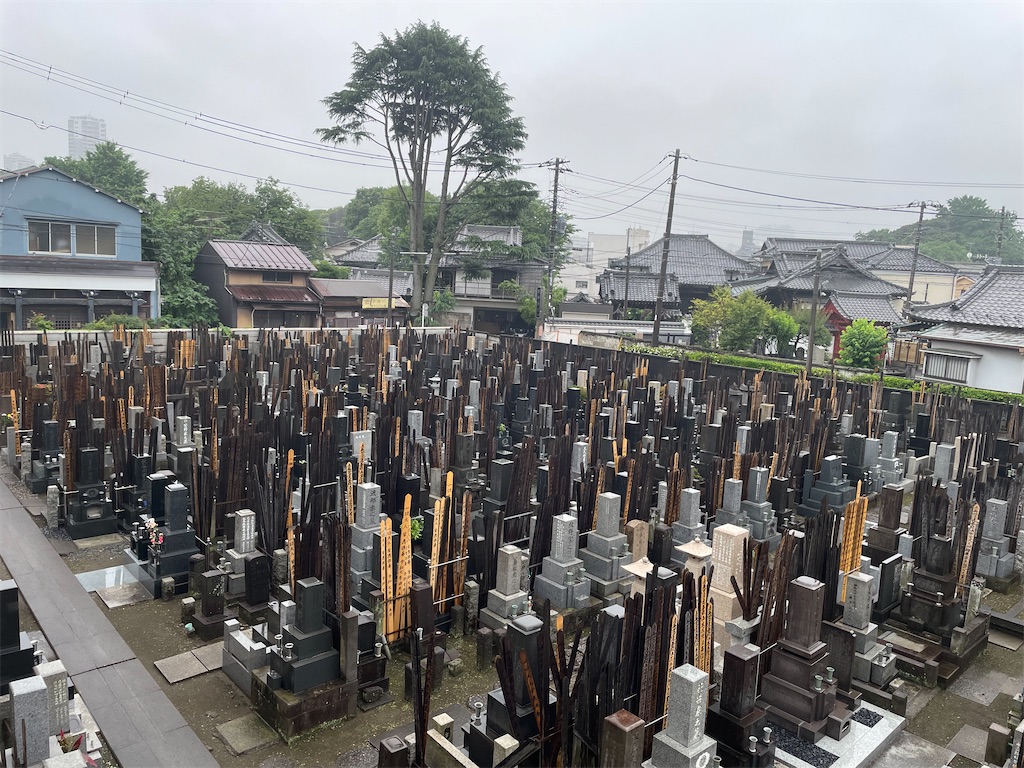 f:id:TokuheiKumagai:20250611145230j:image