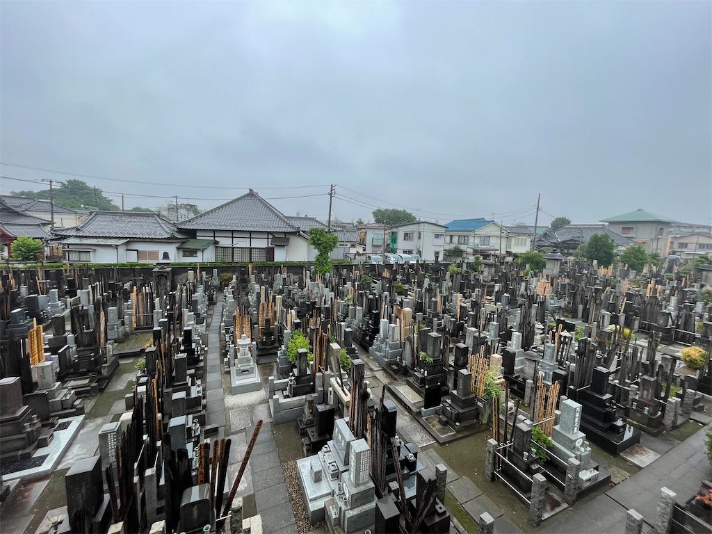 f:id:TokuheiKumagai:20250611145234j:image