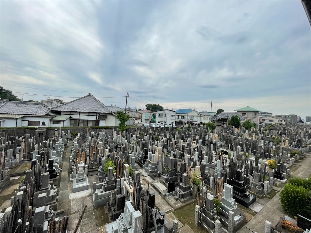 f:id:TokuheiKumagai:20250612152750j:image