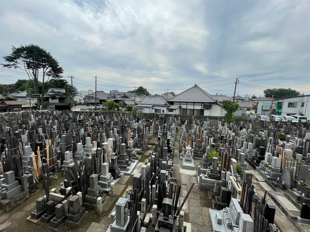 f:id:TokuheiKumagai:20250612152755j:image