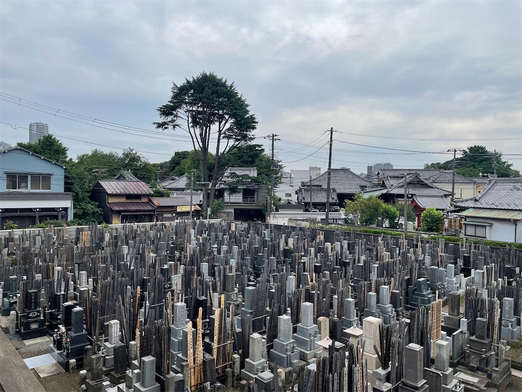 f:id:TokuheiKumagai:20250612152758j:image