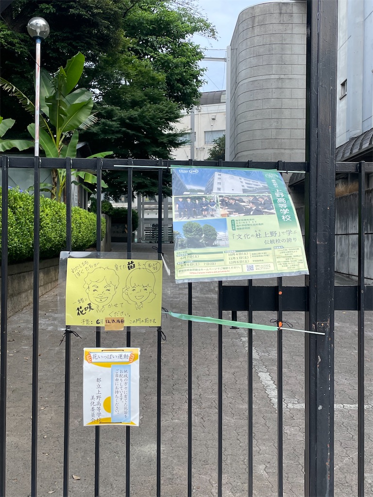 f:id:TokuheiKumagai:20250613213505j:image