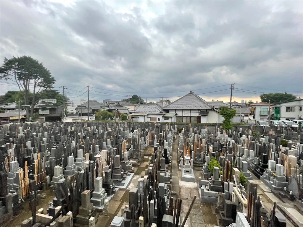 f:id:TokuheiKumagai:20250613213507j:image