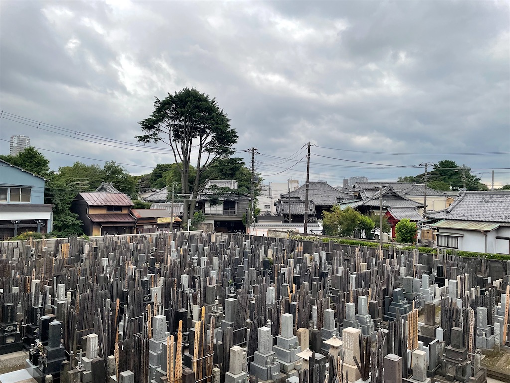 f:id:TokuheiKumagai:20250613213523j:image
