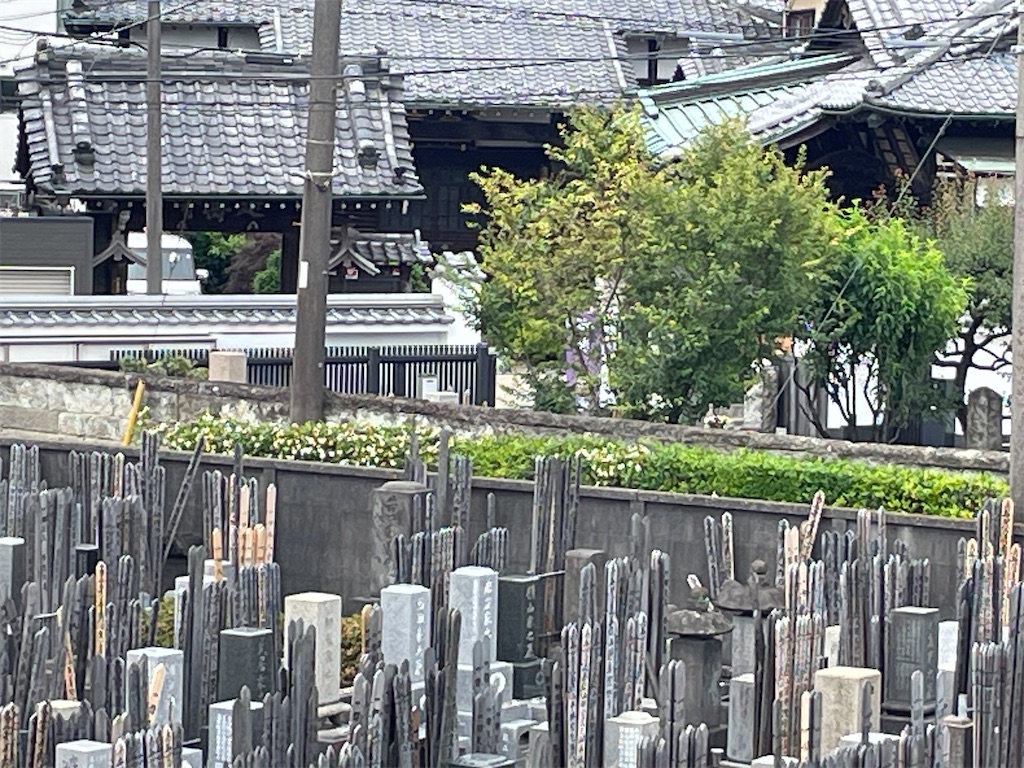 f:id:TokuheiKumagai:20250614182144j:image