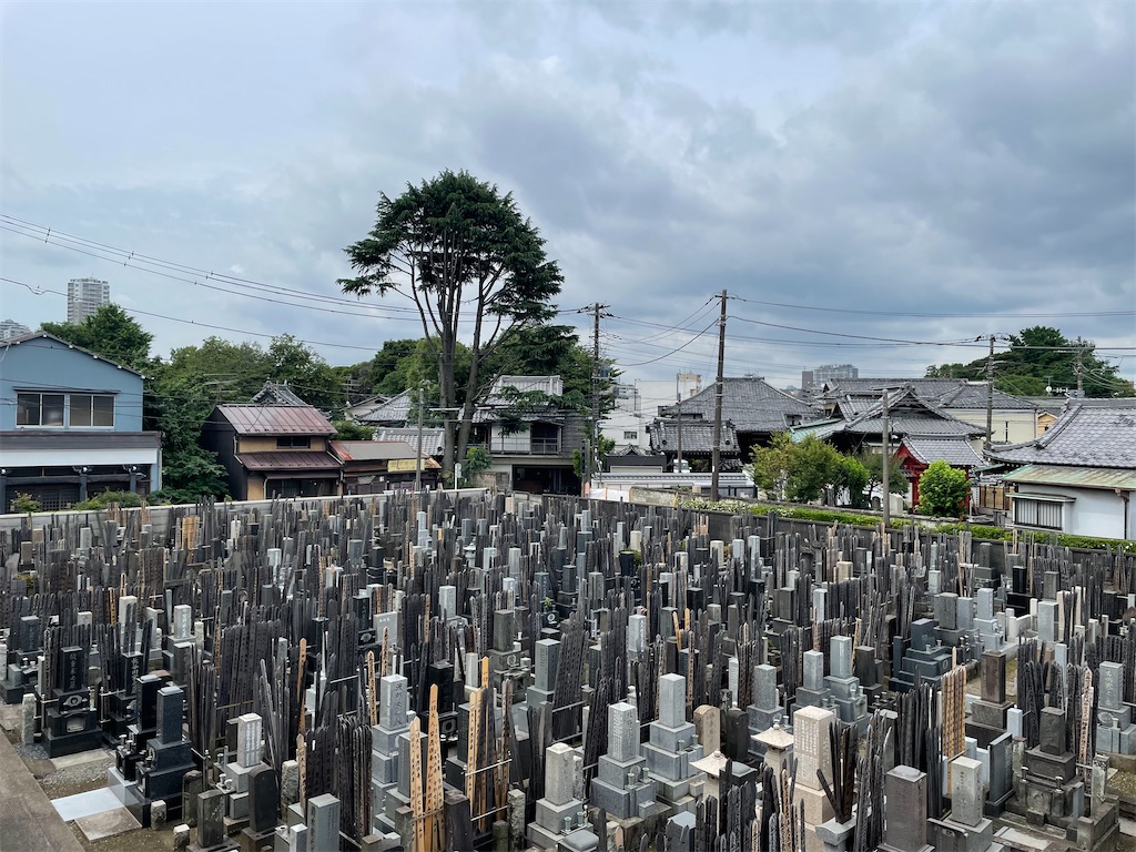 f:id:TokuheiKumagai:20250614182158j:image