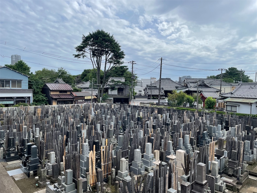 f:id:TokuheiKumagai:20250615152551j:image