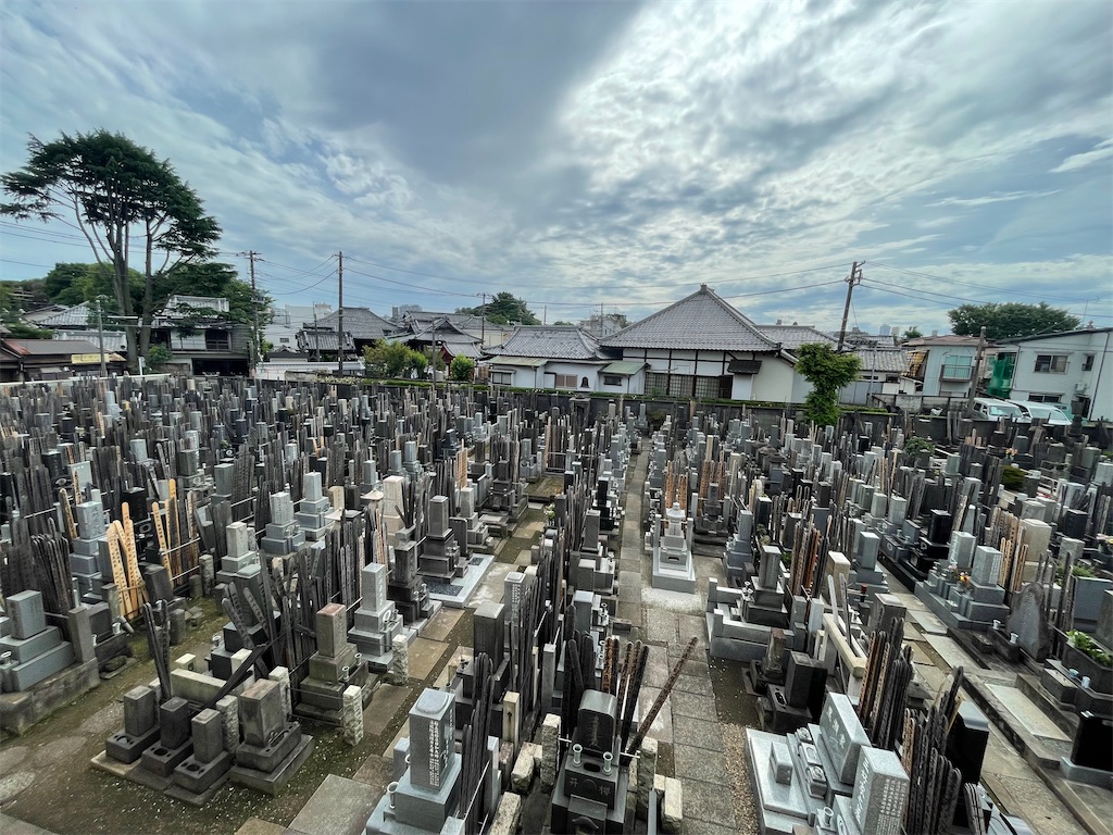 f:id:TokuheiKumagai:20250615152555j:image
