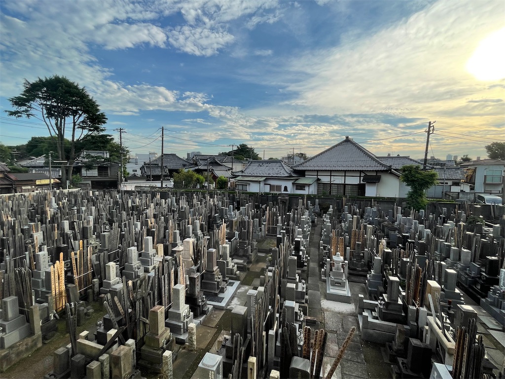 f:id:TokuheiKumagai:20250616182142j:image