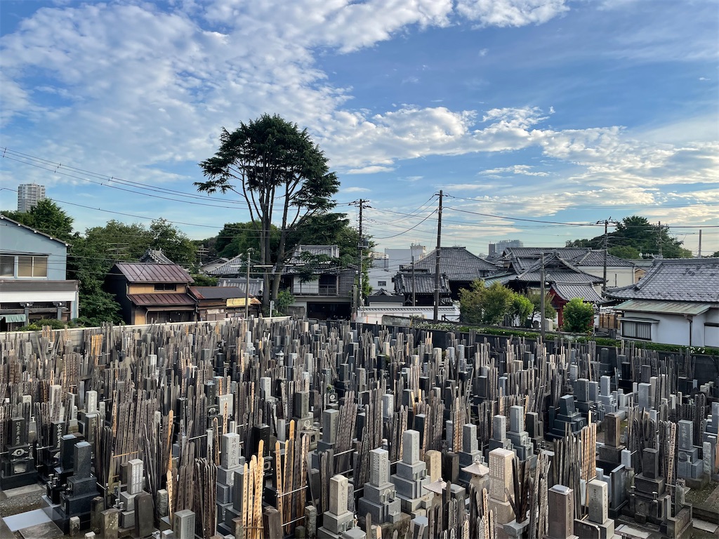 f:id:TokuheiKumagai:20250616182147j:image