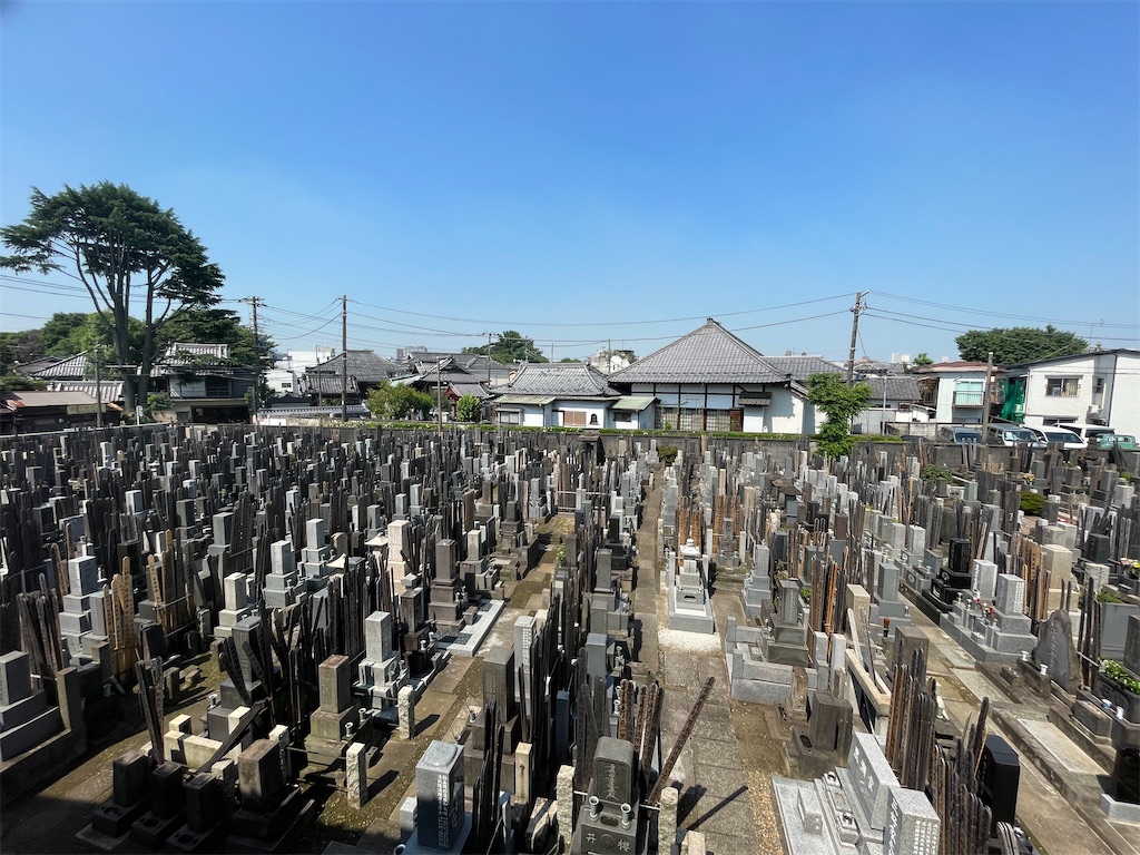 f:id:TokuheiKumagai:20250617095434j:image