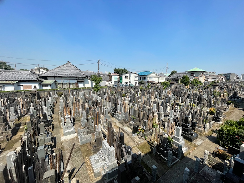 f:id:TokuheiKumagai:20250617095437j:image