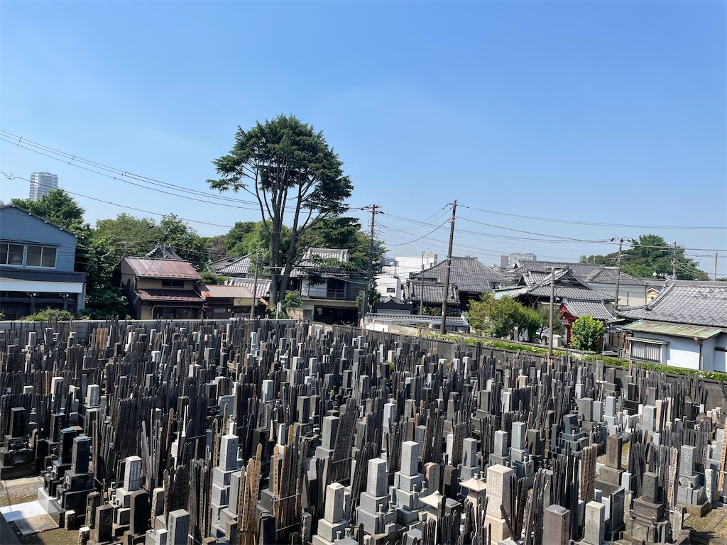 f:id:TokuheiKumagai:20250617095440j:image