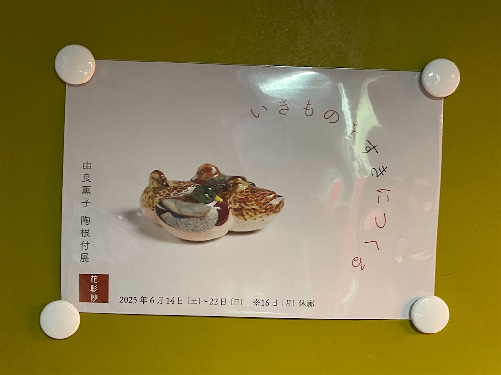 f:id:TokuheiKumagai:20250618210218j:image