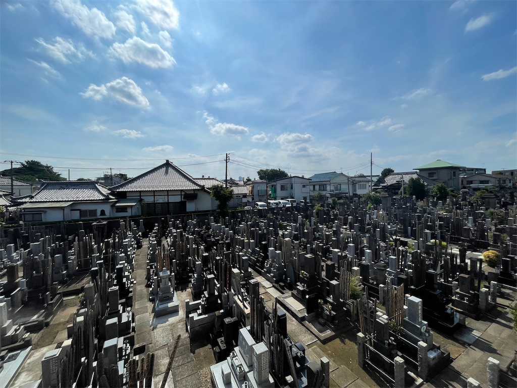 f:id:TokuheiKumagai:20250620150000j:image