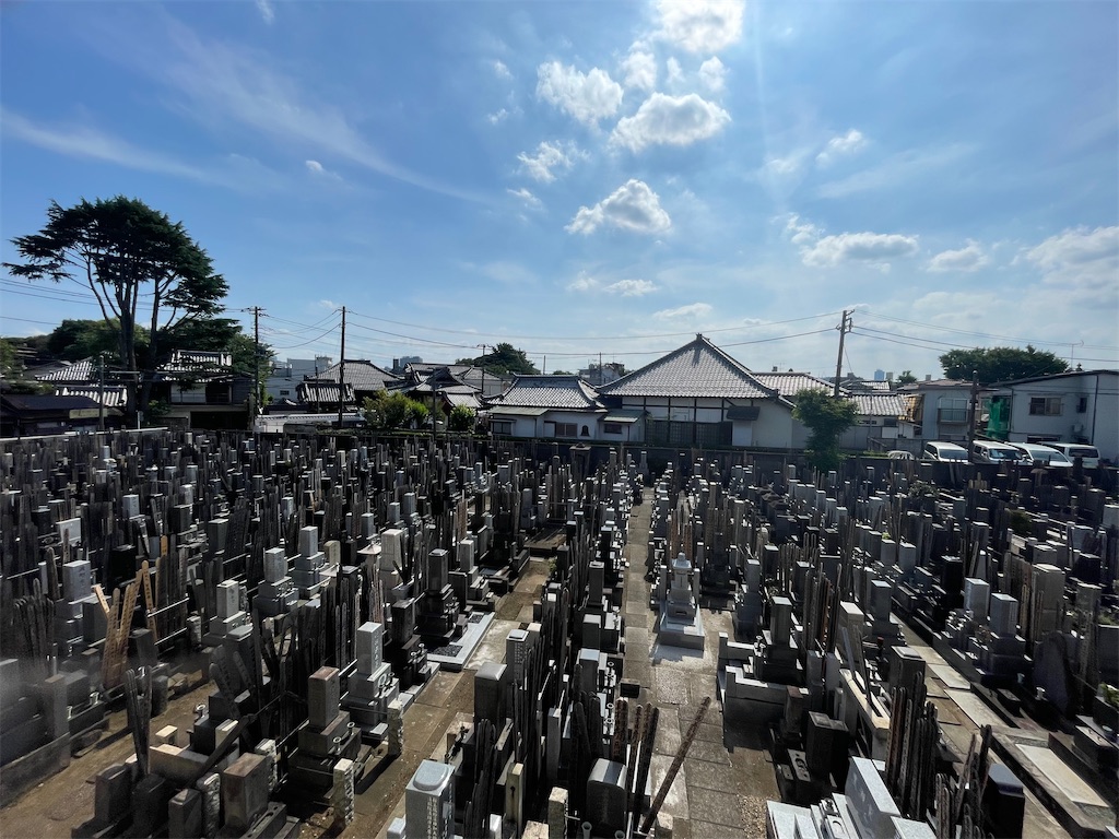 f:id:TokuheiKumagai:20250620150004j:image