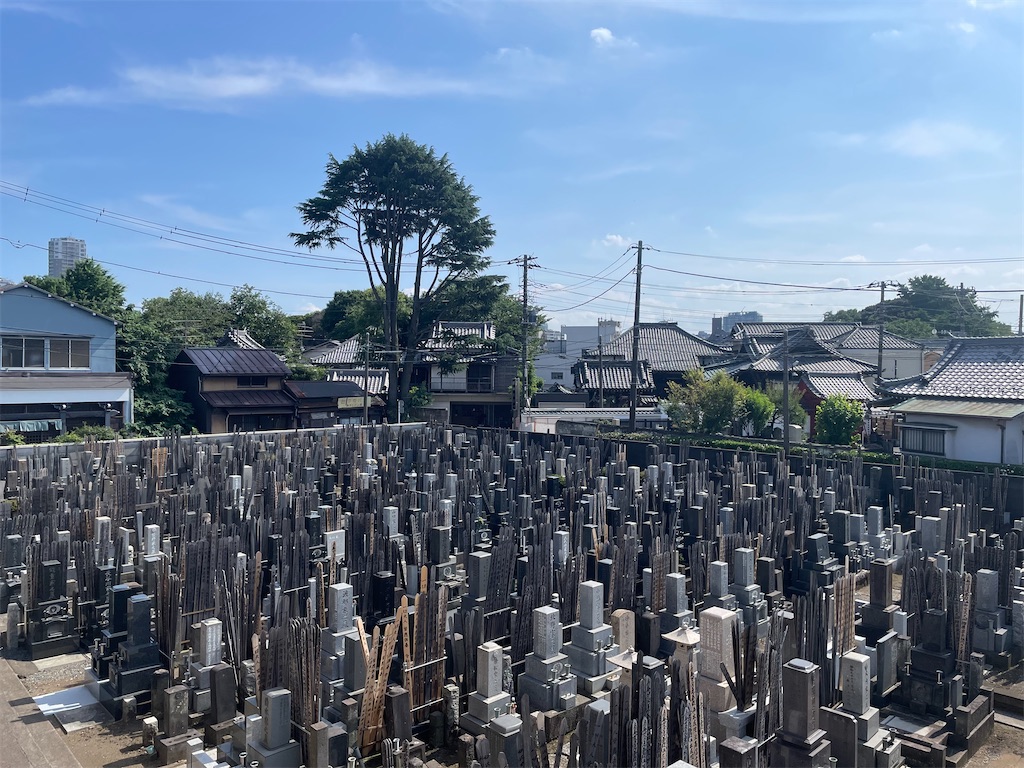 f:id:TokuheiKumagai:20250620150008j:image