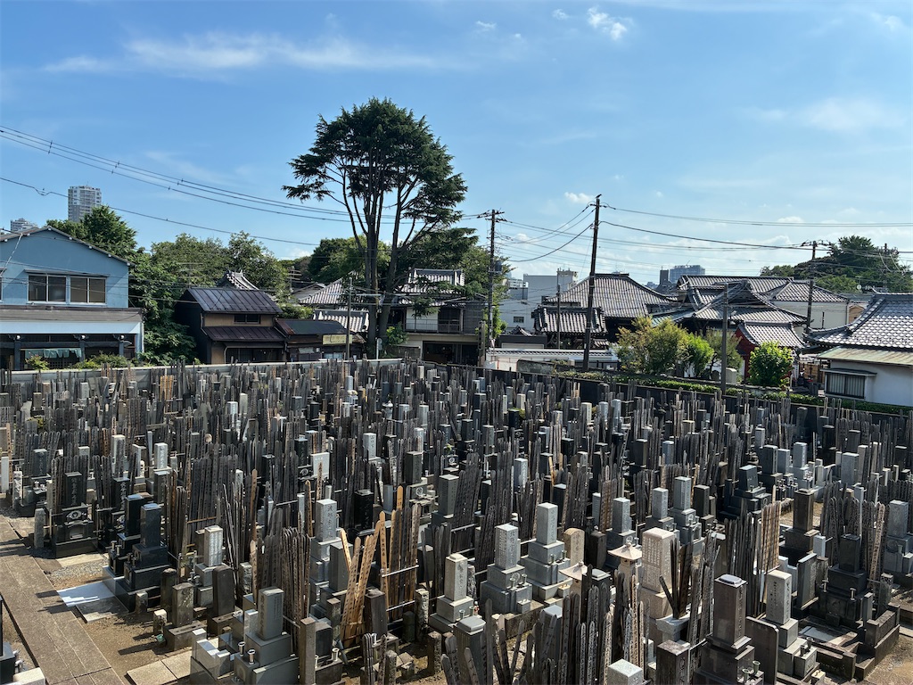f:id:TokuheiKumagai:20250620150043j:image