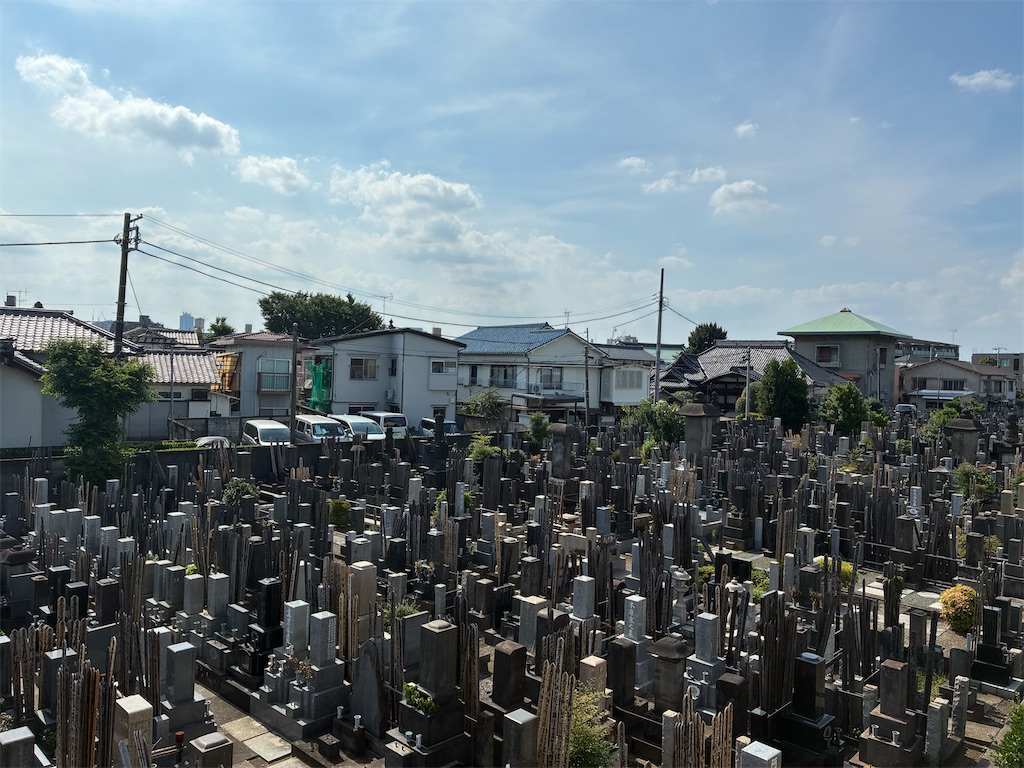 f:id:TokuheiKumagai:20250620150047j:image