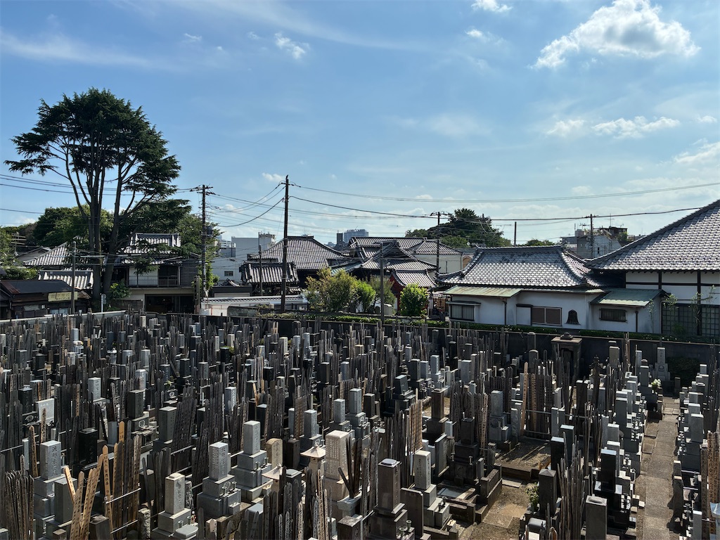 f:id:TokuheiKumagai:20250620150050j:image