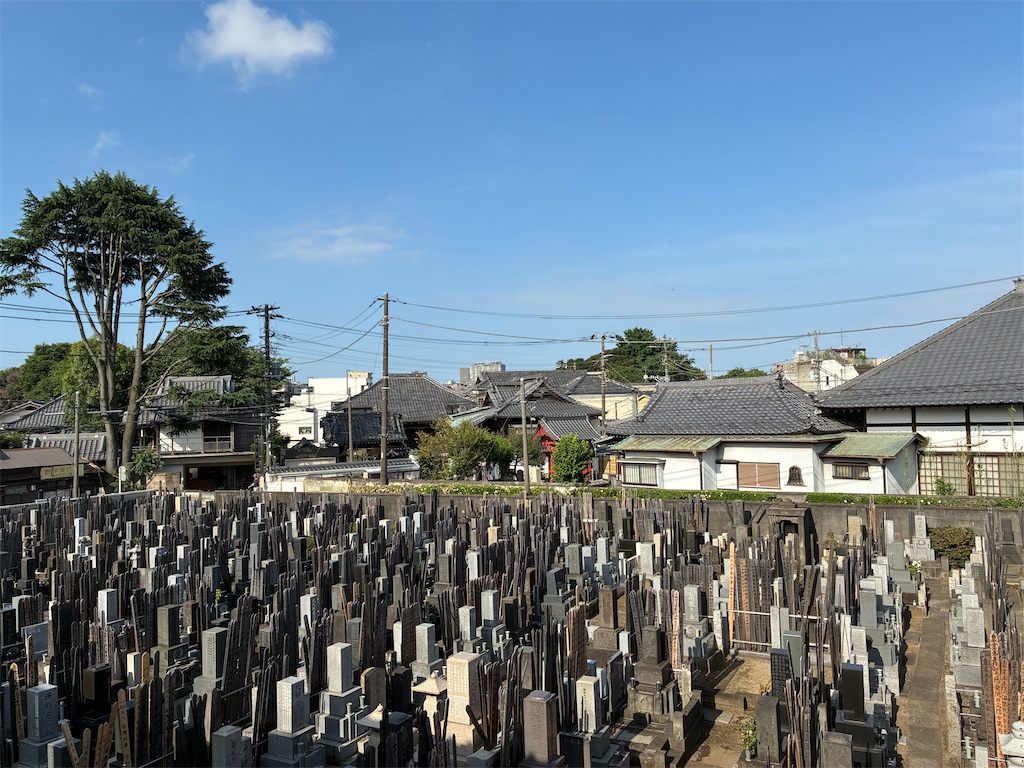 f:id:TokuheiKumagai:20250621080612j:image