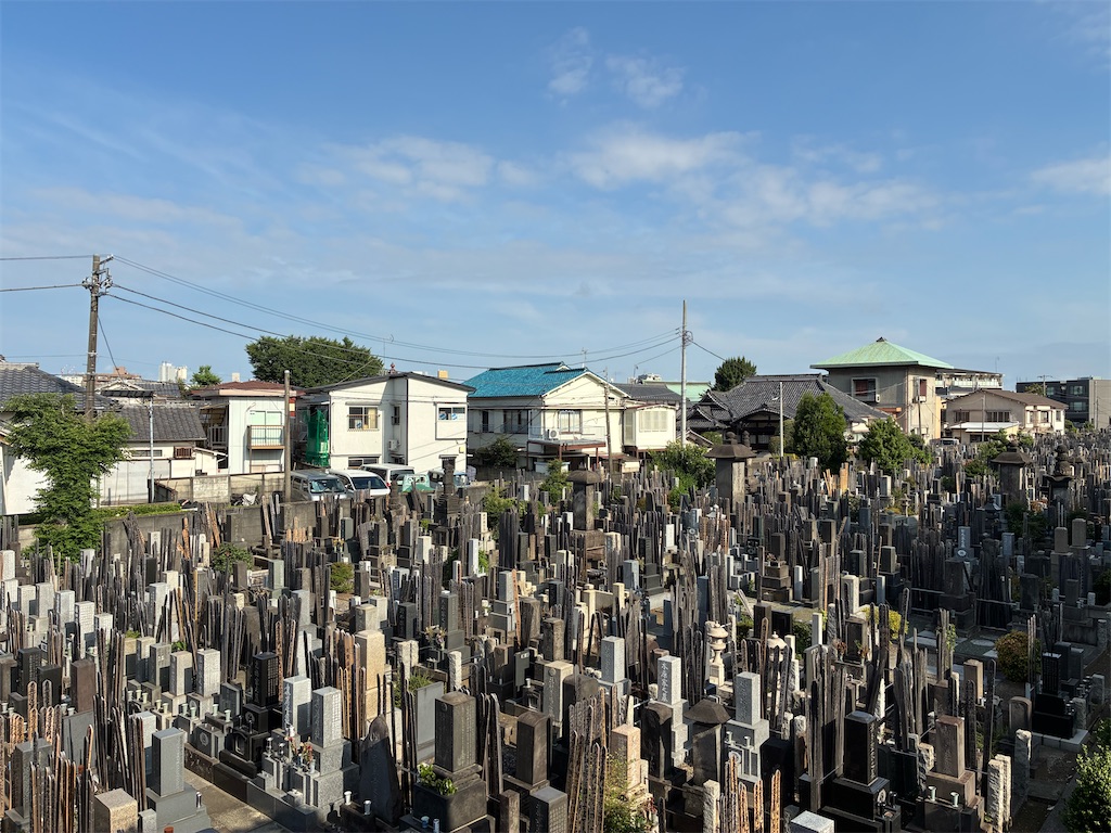f:id:TokuheiKumagai:20250621080622j:image