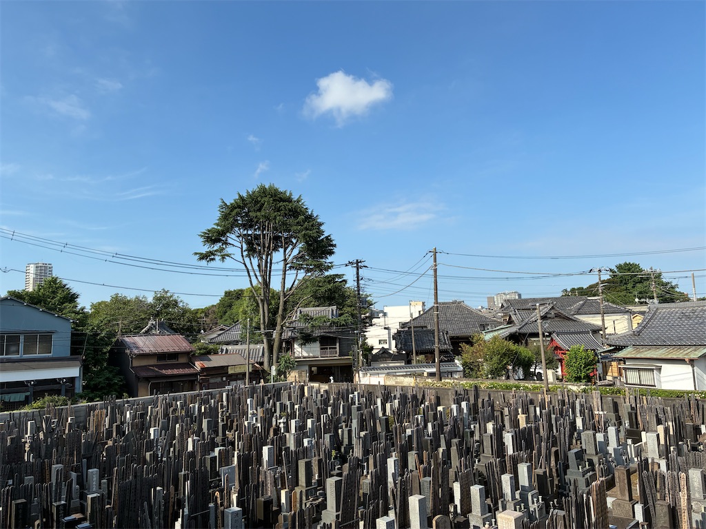 f:id:TokuheiKumagai:20250621092439j:image