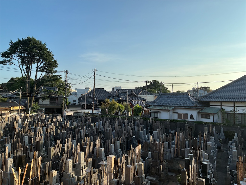 f:id:TokuheiKumagai:20250622184851j:image